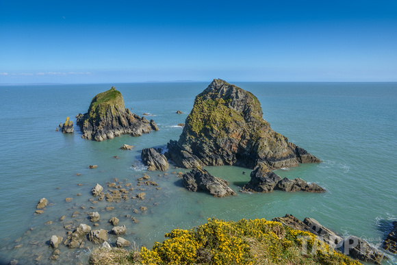 Monkstone Point