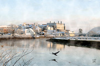 Cormorant on the Towy, Carmarthen