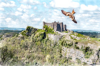 Red Kite, Carreg Cennen castle